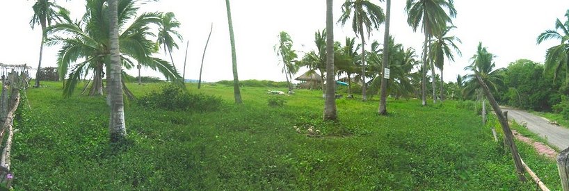 beach in front of the property.