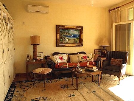 penthouse livingroom