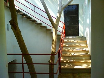 stairs to palapa level