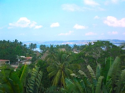 ocean view
